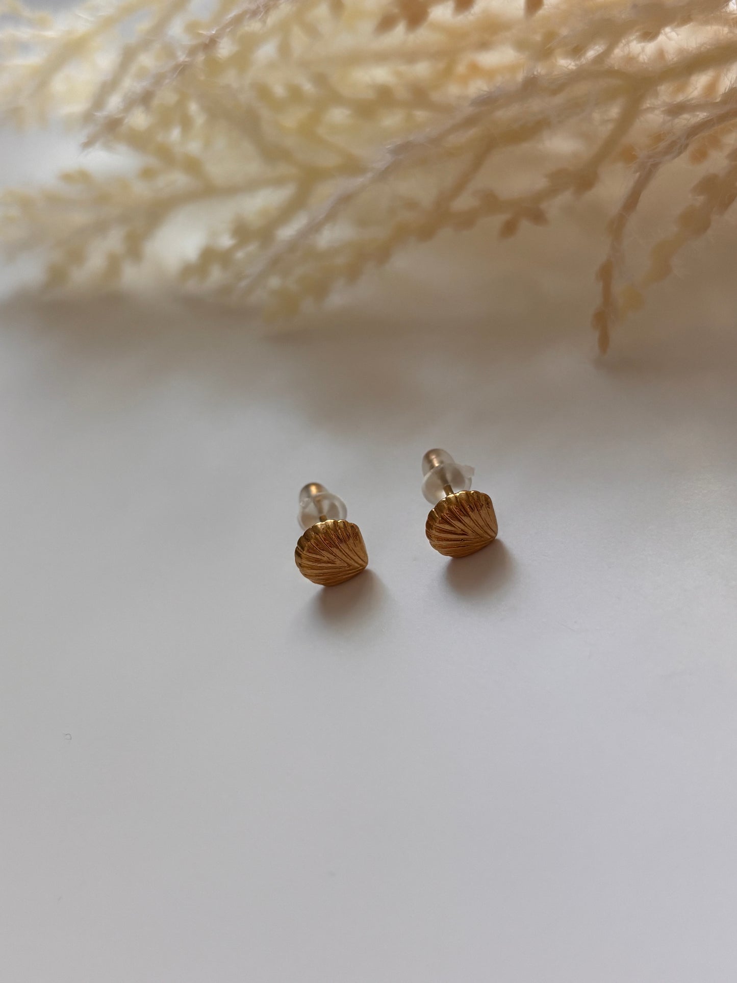 Shell Studs