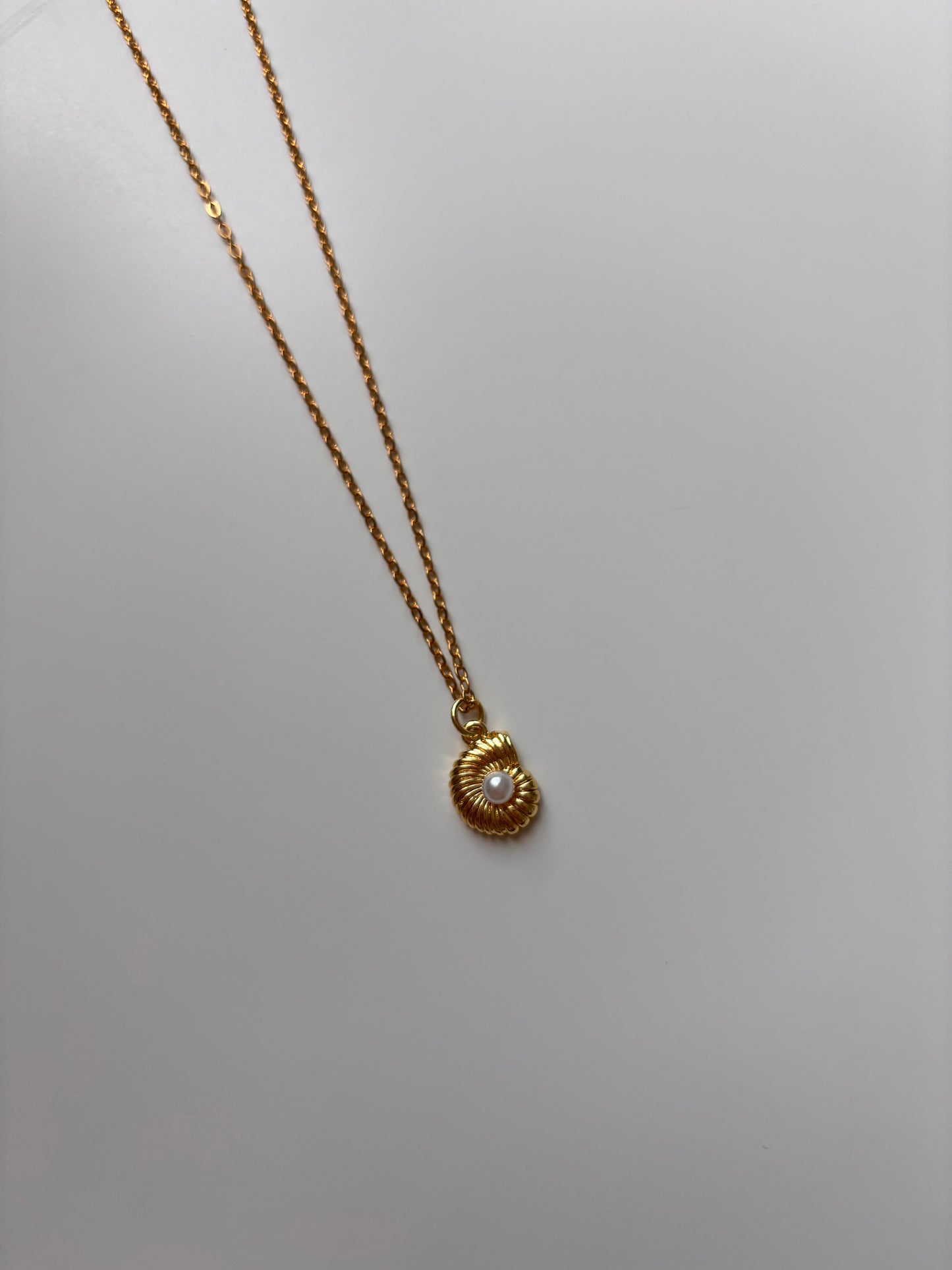 Shell simple necklace