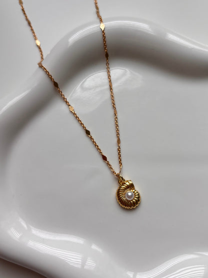 Shell Necklace