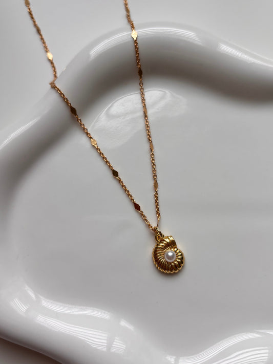 Shell Necklace