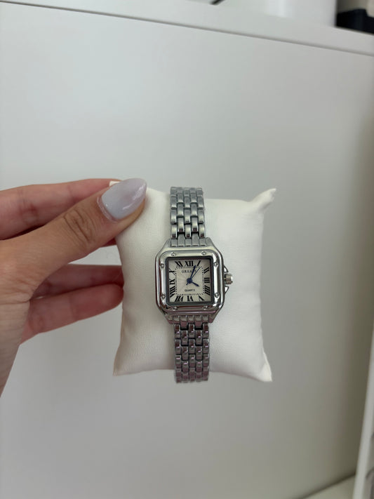 Silver Watch