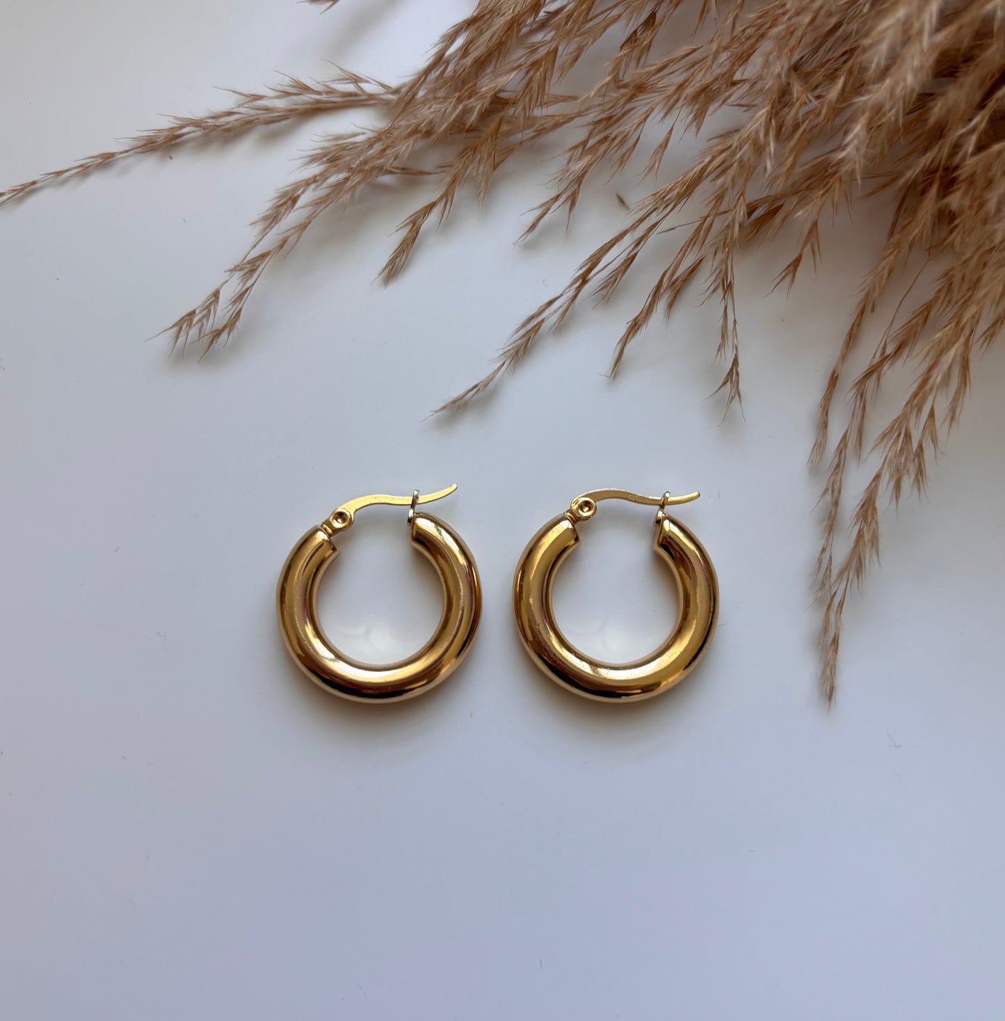 Elegant Hoops