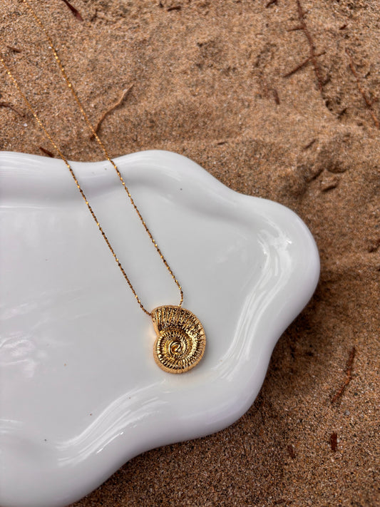 Big Shell Necklace
