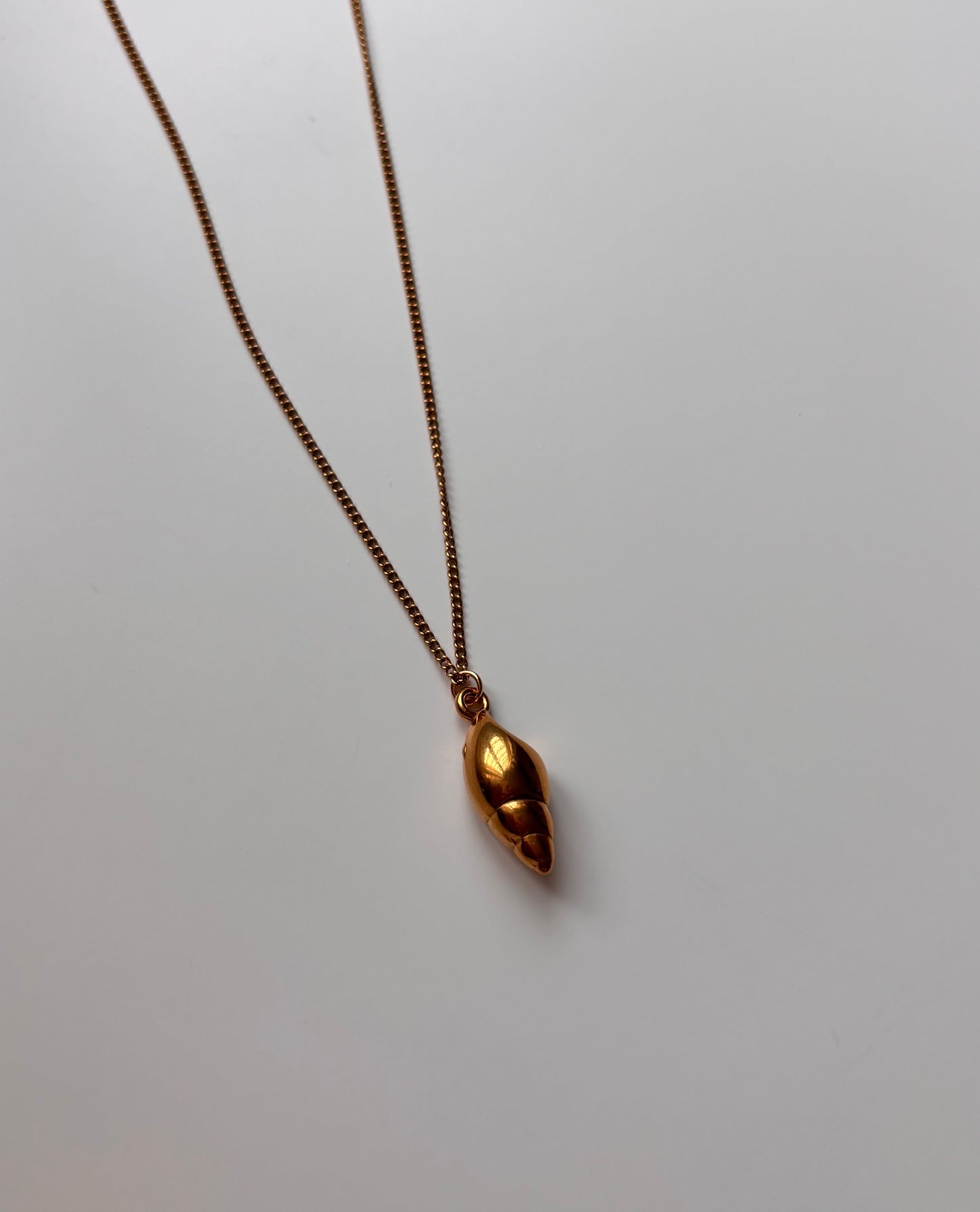Shell Necklace